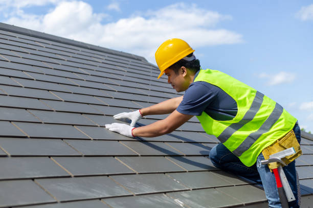 Best Local Roofing Companies  in Trinity, NC
