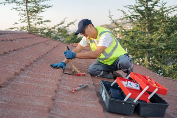Best Residential Roofing Contractor  in Trinity, NC
