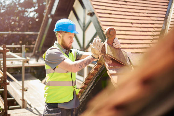Best Metal Roofing Contractor  in Trinity, NC